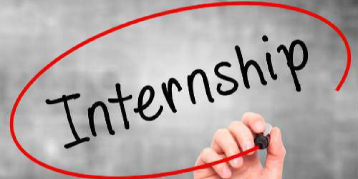 Student Guide Internships and Practical Training at GIU